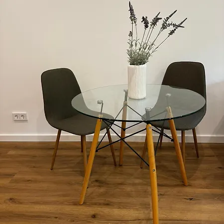 公寓 Roseninsel-apartment *