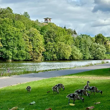 公寓 Roseninsel-apartment