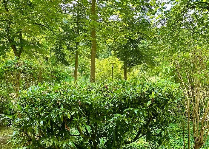 Roseninsel-apartment Appartement Bad Kreuznach